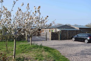 Parking outside the art gallery in spring with the Japanese Cherry blossom