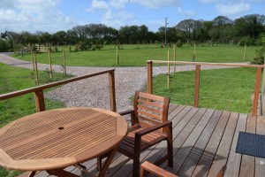 Hardwood Decking Area Outside