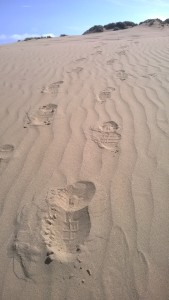 Set off up the big dune, akes a good landmark for finding your way back