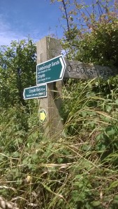 Croyde to Putsborough walk round Baggy Point