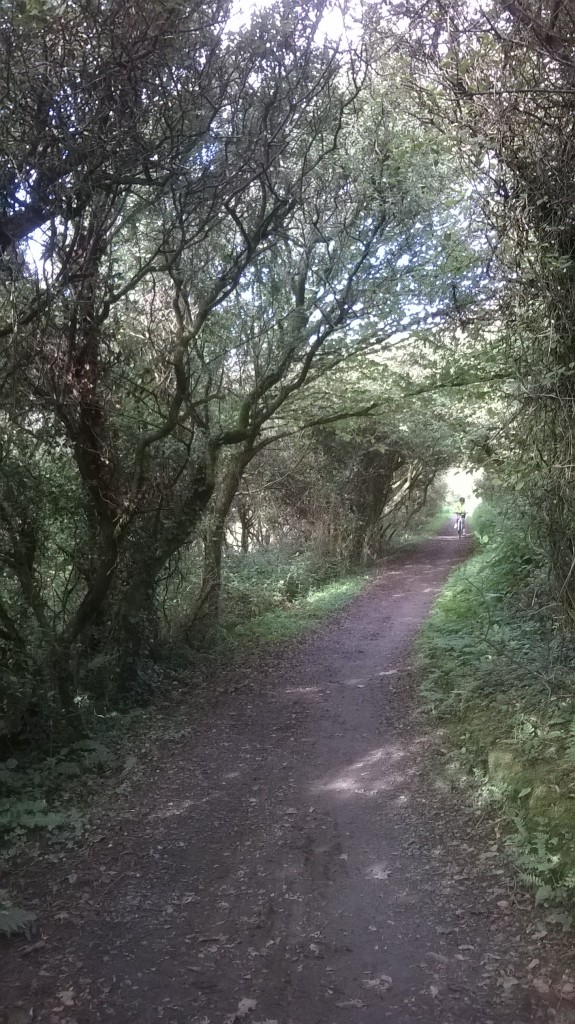 Putsborough to Woolacombe cycle ride at back of dunes