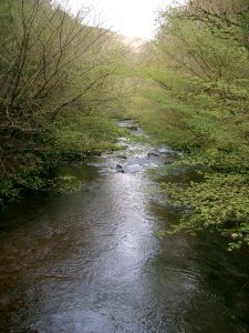 Walk at Lynton and Lymouth Watersmeet