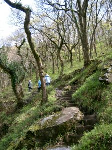 Walk at Lynton and Lymouth Watersmeet