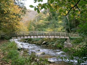 Walk at Lynton and Lymouth Watersmeet