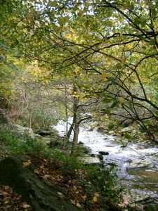 Walk at Lynton and Lymouth Watersmeet