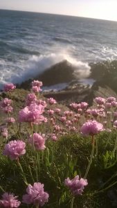 Barricane Beach Cafe Review and Walk to Morte Point Woolacombe