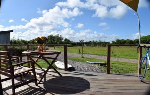 Decking Outside Lodge 1