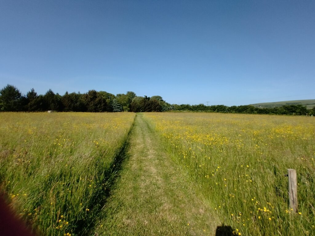 Walking through the fields behind the house and the lodges at Braunton