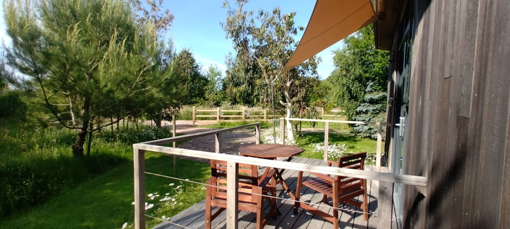 Sitting on the Decking at Lodge 1 looking over the flower meadows
