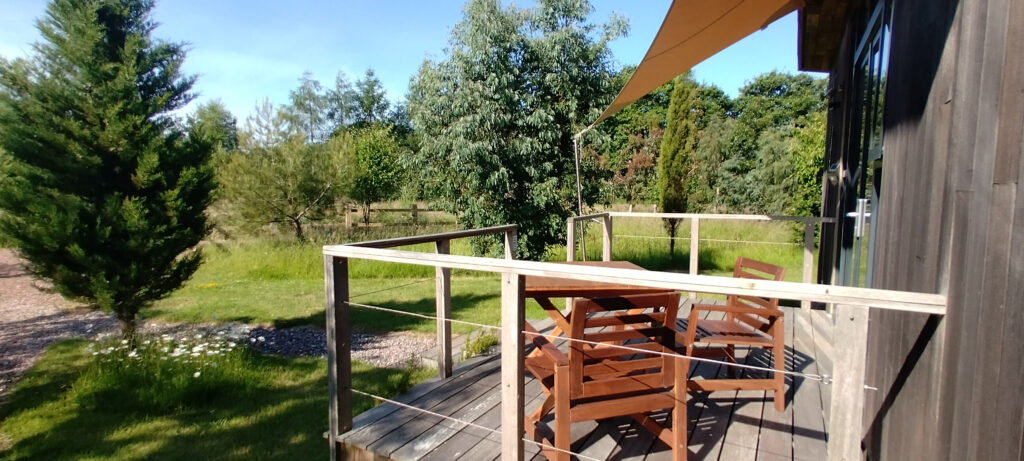 Sitting on Lodge 3 deck looking over the flower meadows.